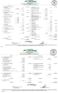 Seguros Los Andes Estados Financieros al 31-12-2021