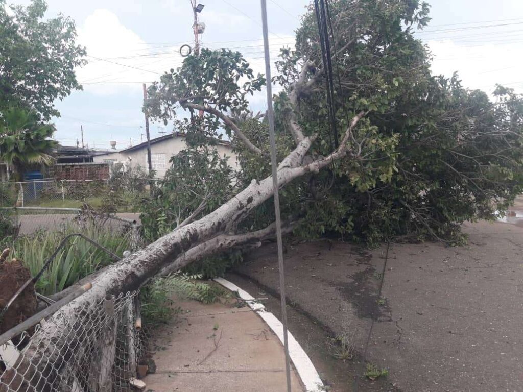 Zulia: Inundaciones y viviendas afectadas por lluvias en municipio Baralt