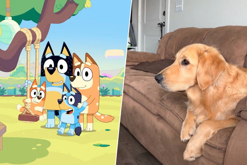 Los perros también pueden disfrutar 'Bluey', y la razón tiene que ver con cómo está coloreada la serie