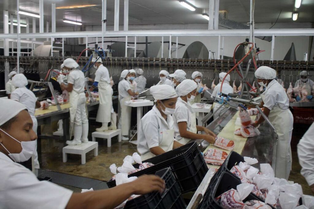 Avícola Guacara busca abrirse al mercado internacional