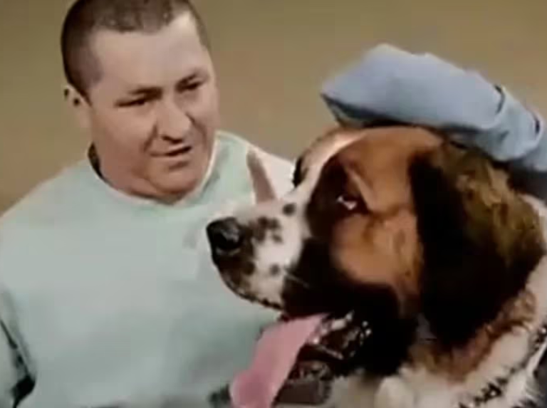 Curly Howard de Los Tres Chiflados fue ejemplo del proteccionismo animal