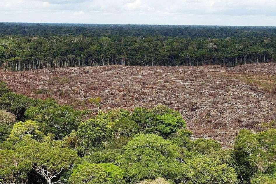 Deforestación en Amazonía brasileña cae a niveles de 2017