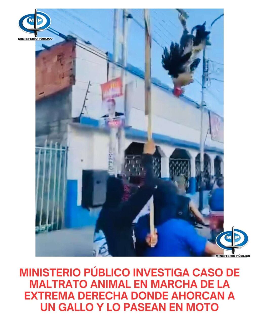 Designan fiscal que investigará maltrato animal en marcha opositora