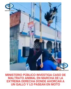 Designan fiscal que investigará maltrato animal en marcha opositora