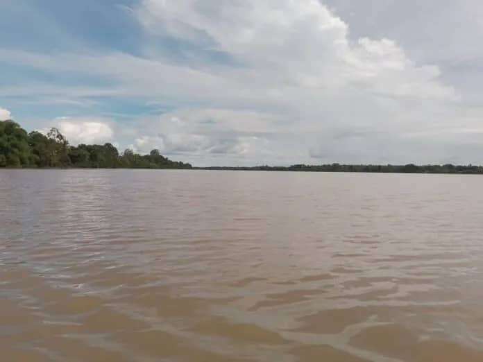Nivel del río Orinoco sin riesgo por desbordamiento en el Delta