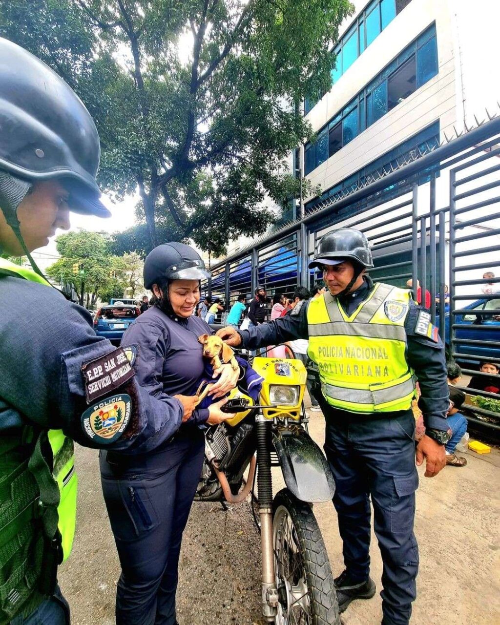 Rescatan a cachorro abandonado en San José