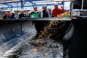 Trabajan en reutilización de aceites y lubricantes
