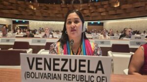 Venezuela expuso en ONU logros en derechos de pueblos indígenas
