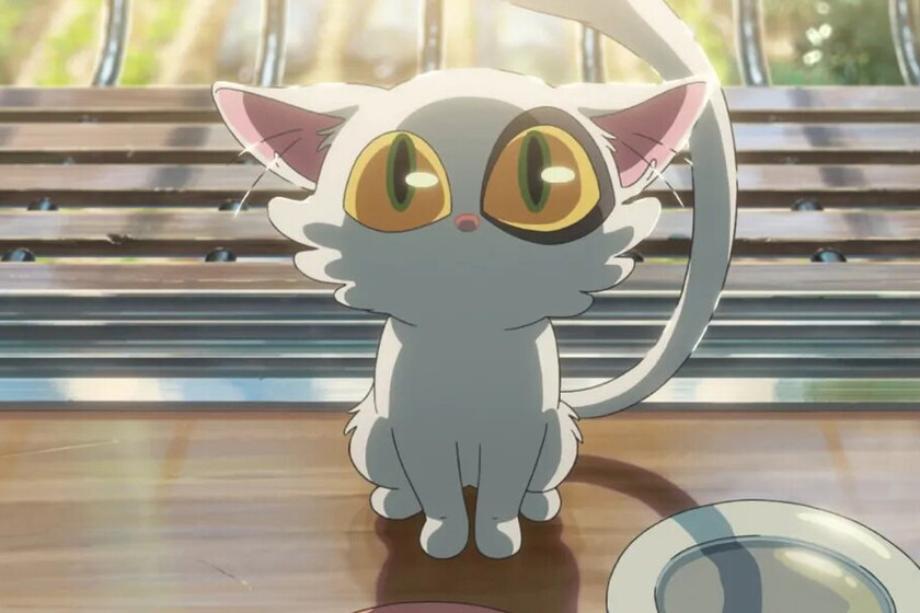 Aquí van 5 encantadores animes si te gustan los gatos, y dónde los puedes ver en streaming para que no te falte tu dosis de michis