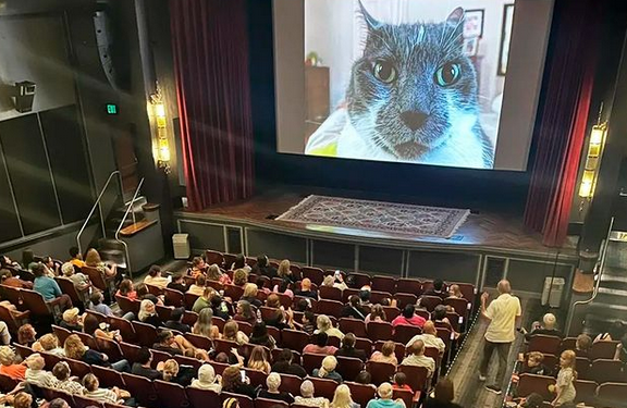 Festival proyecta 73 minutos de videos de gatos sacados de internet