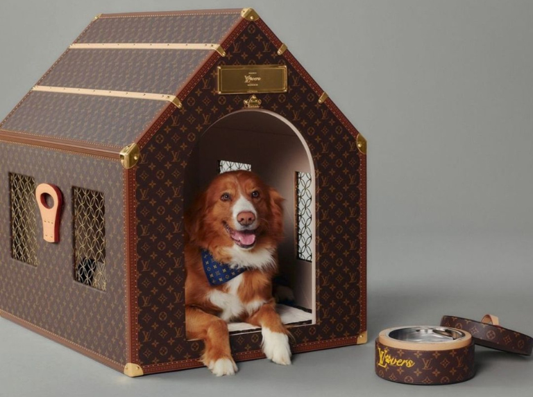 Perritos se roban el show en la nueva campaña de Louis Vuitton