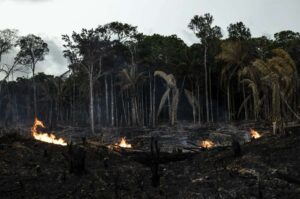 Registran varias zonas de Suramérica bajo riesgo de incendios