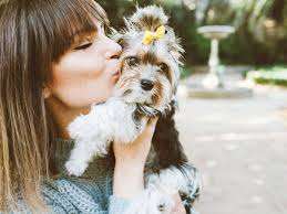 Tener un perro favorece la salud de las mujeres