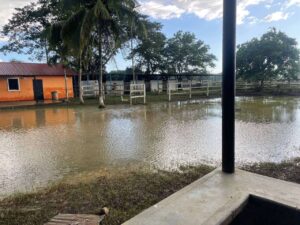 Viviendas y vías anegadas por desborde de ríos en Anzoátegui