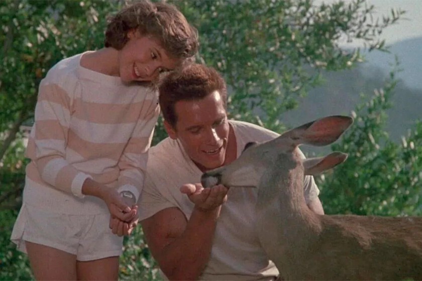 Está en Disney+ y es la mayor salvajada de Arnold Schwarzenegger, una película de acción donde mata más enemigos que en cualquier otra de toda su filmografía