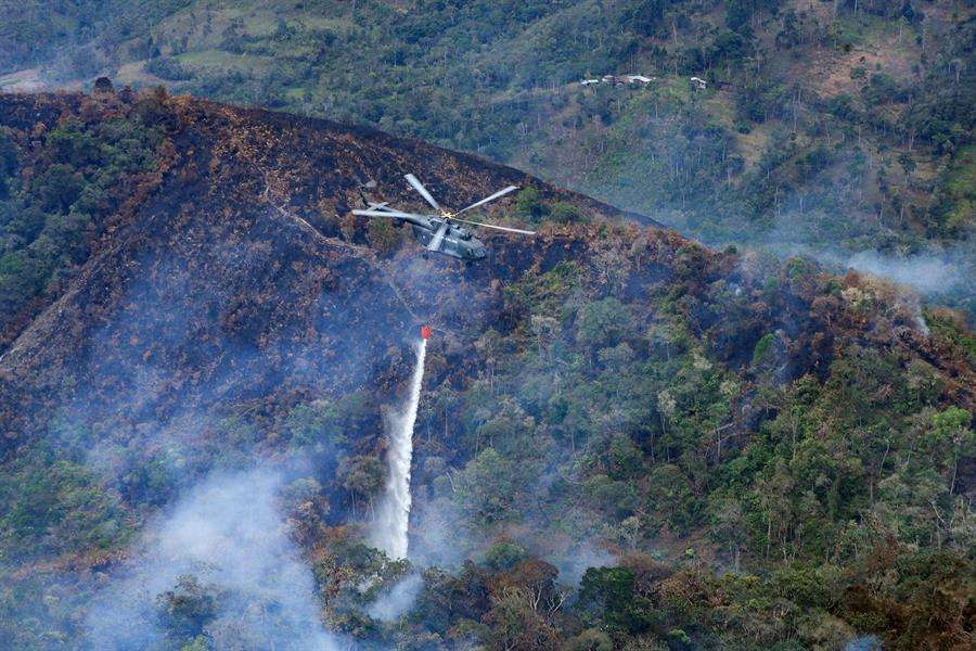 Al menos 15 muertos por incendios forestales en Perú