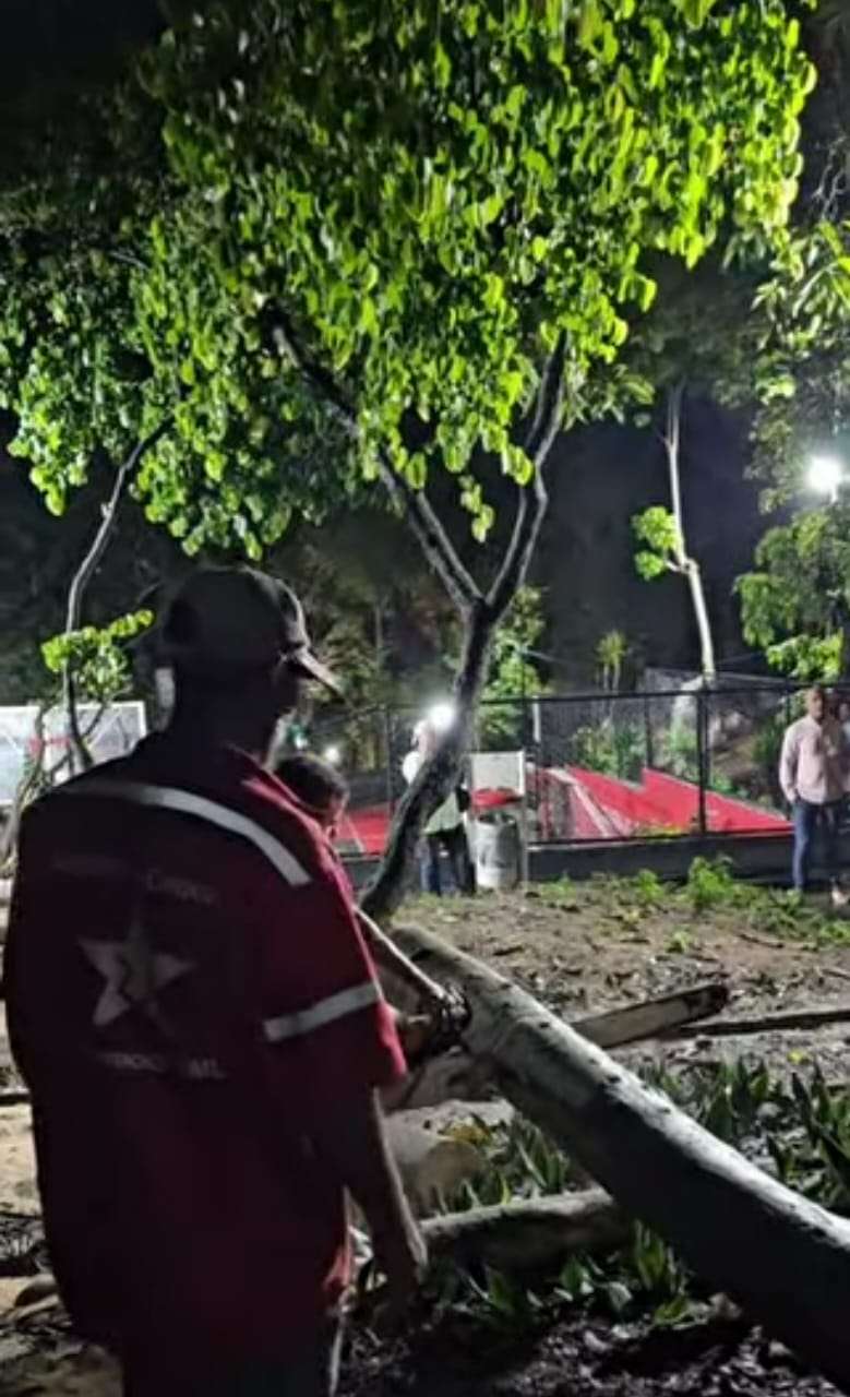 Alcaldía de Caracas recoge árboles caídos en la parroquia El Recreo