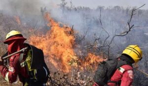 Alertan sobre efectos de incendios forestales en salud de niños bolivianos