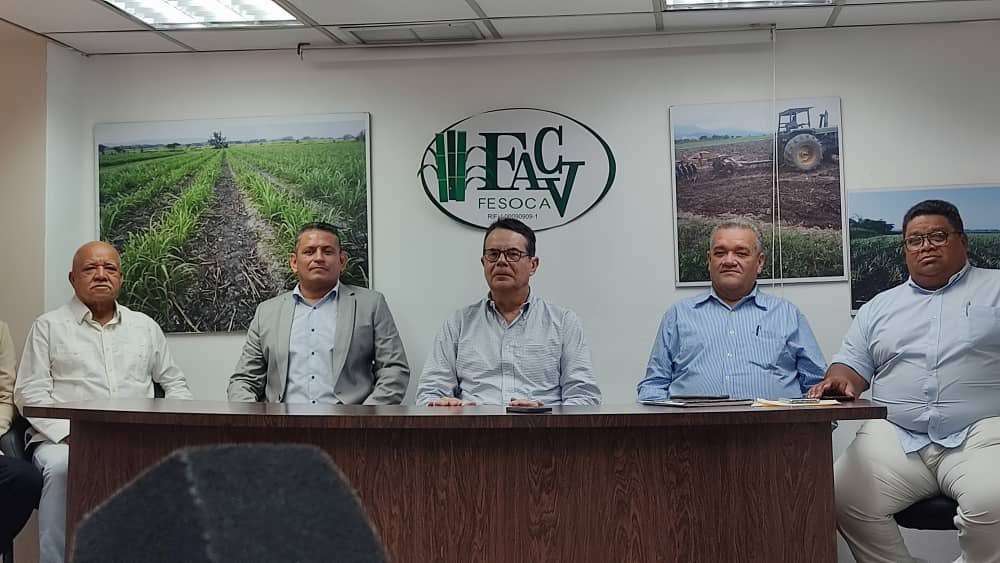 Cañicultores registran aumento del 20% en la producción durante los últimos cinco años