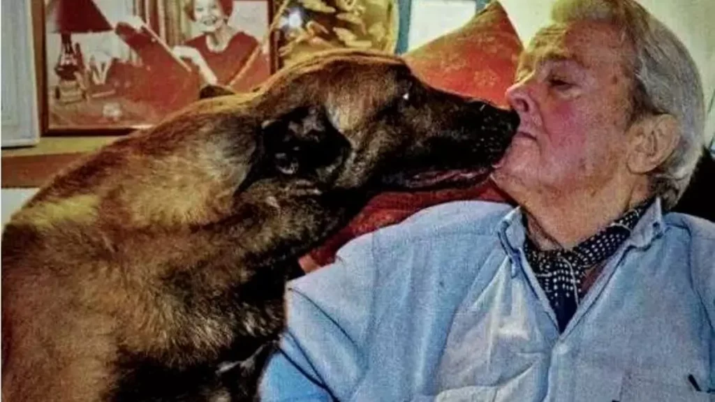 El perro de Alain Delon no será sacrificado
