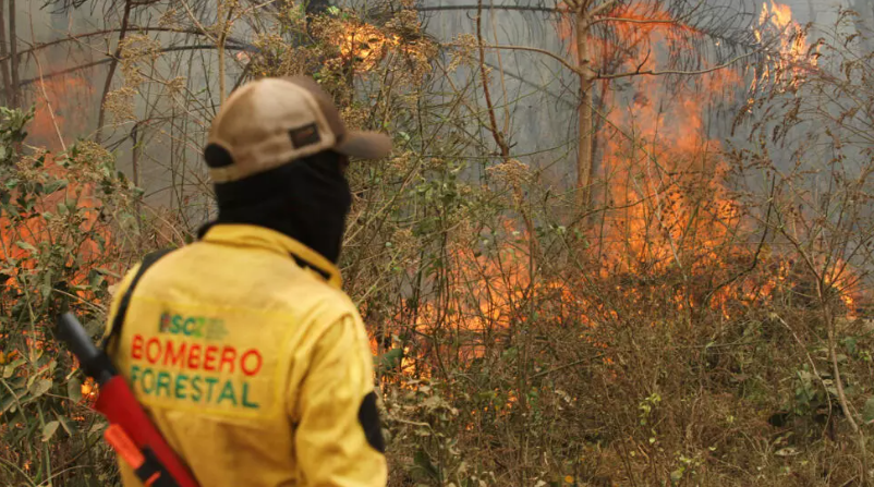 más de 7 millones de hectáreas incendiadas en Santa Cruz, el mayor desastre ambiental de la región