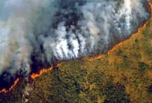 Incendios en Brasil consumen 11,39 millones de hectáreas hasta agosto