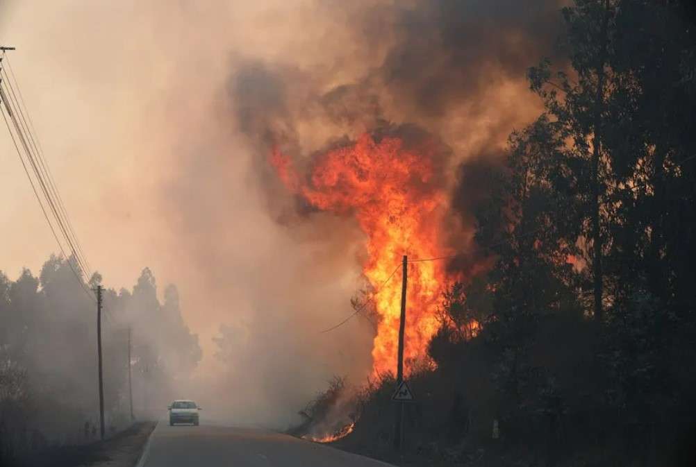 Incendios forestales en Portugal dejan cuatro muertos