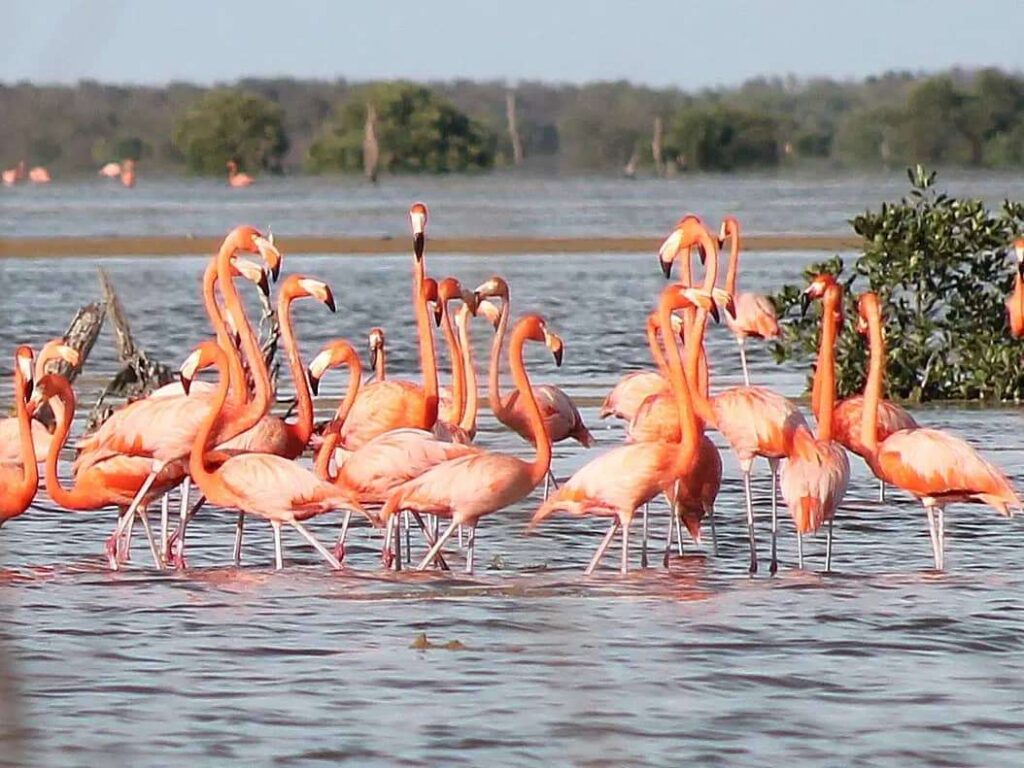 La Laguna de las Peonias declarada ruta de interés turístico nacional