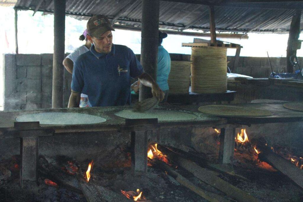 Modernizan la producción de la torta de casabe
