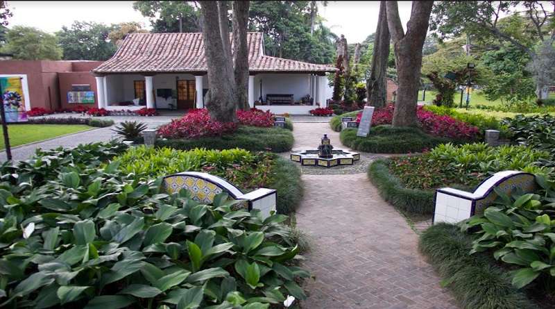 Poetas venezolanos invocan la paz