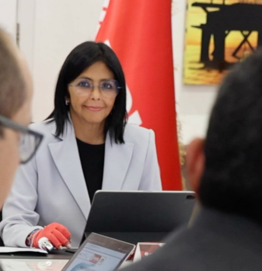 Rodríguez aborda planes para avanzar en la recuperación energética del país