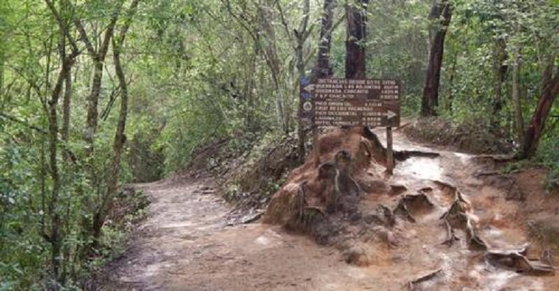 Así era el modus operandi