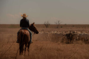 Los fans de 'Yellowstone' no se pueden perder esta serie de Netflix. Una épica saga familiar con Anna Torv y tintes de western