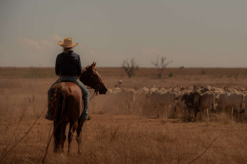 Los fans de 'Yellowstone' no se pueden perder esta serie de Netflix. Una épica saga familiar con Anna Torv y tintes de western