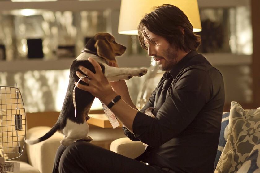 "Keanu Reeves nos apoyó". Los directores de 'John Wick' explican cómo consiguieron matar al perrete pese a la reticencia de unos inversores horrorizados con la idea