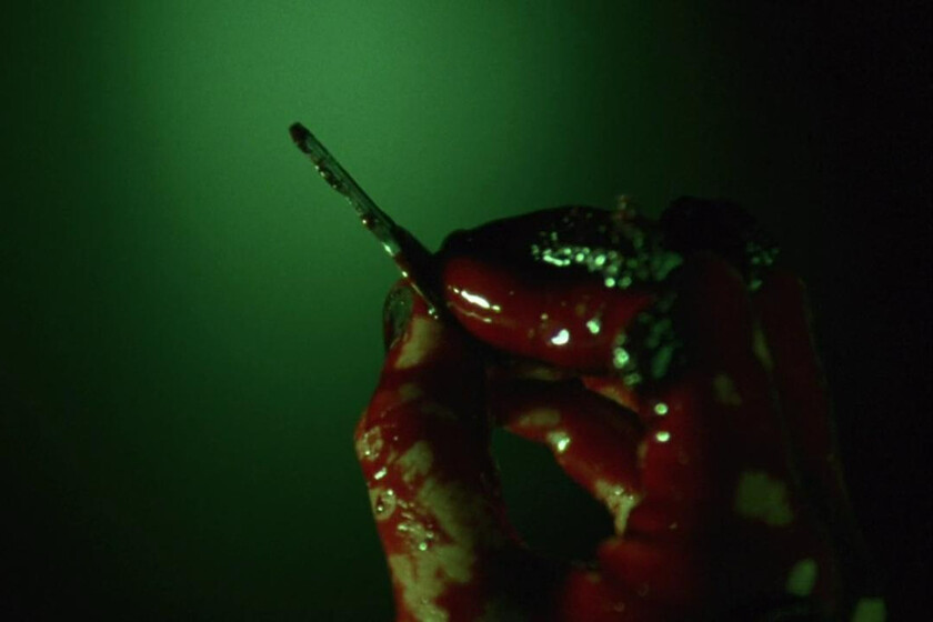 Hace 20 años fue un fenómeno inesperado para el cine de terror y el estreno de dos cineastas importantes. Hoy se puede ver en Netflix y Prime Video con toda su brutalidad