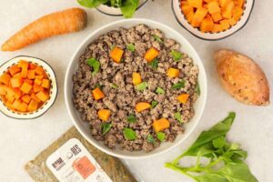 Comida natural o croquetas: tomar la decisión de la dieta para los peludos