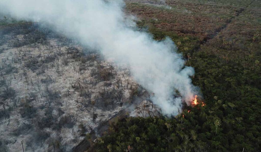 Desastre ambiental de Bolivia ya cobra 9,8 millones de hectáreas quemadas