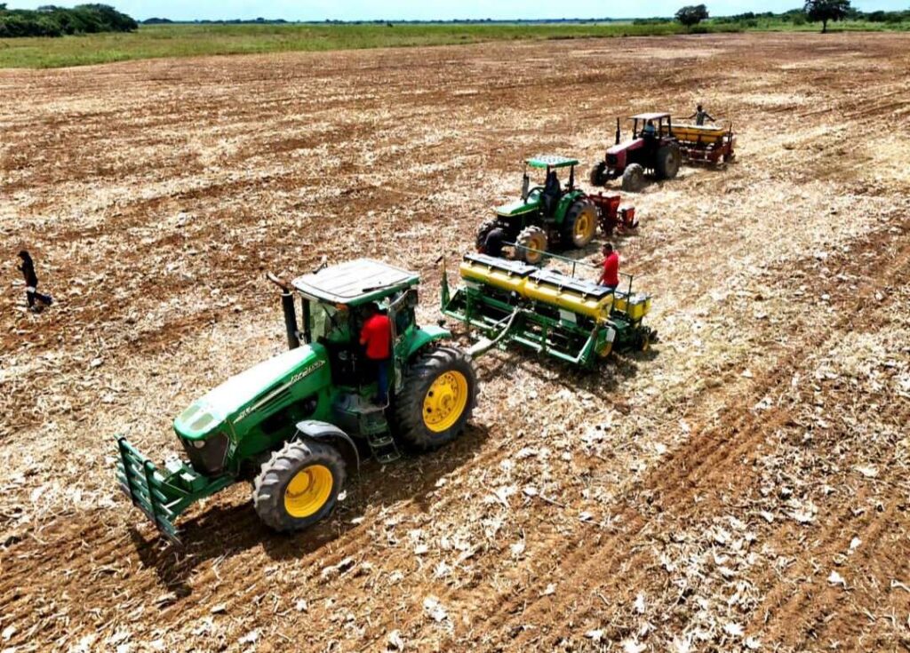 Guárico siembra más de 12.100 hectáreas de leguminosas