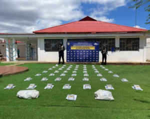 La PNB localizó 50 panelas de marihuana