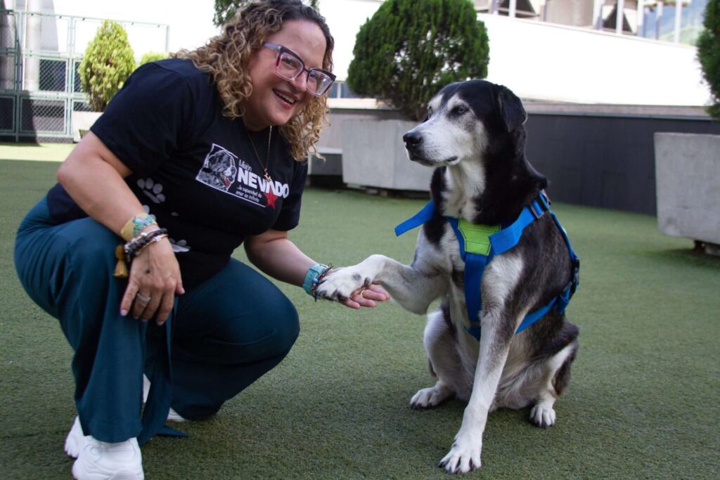 Maigualida Vargas: Hay gente que quiere vivir de los animales