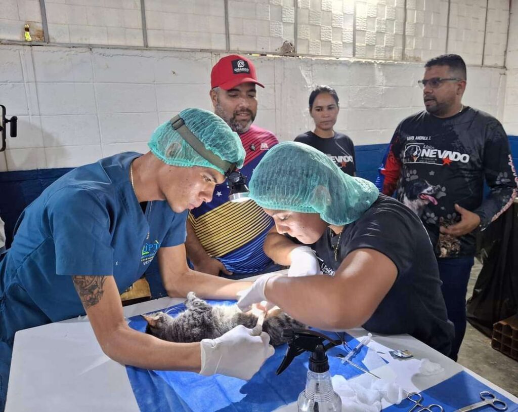 Misión Nevado esterilizó y castró 157 animales en Guárico