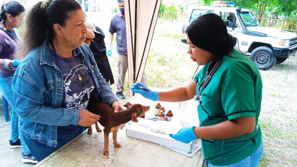 Misión Nevado realiza jornada de atención integral a los animalitos