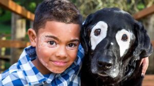 Perro ayuda a niño a superar la depresión