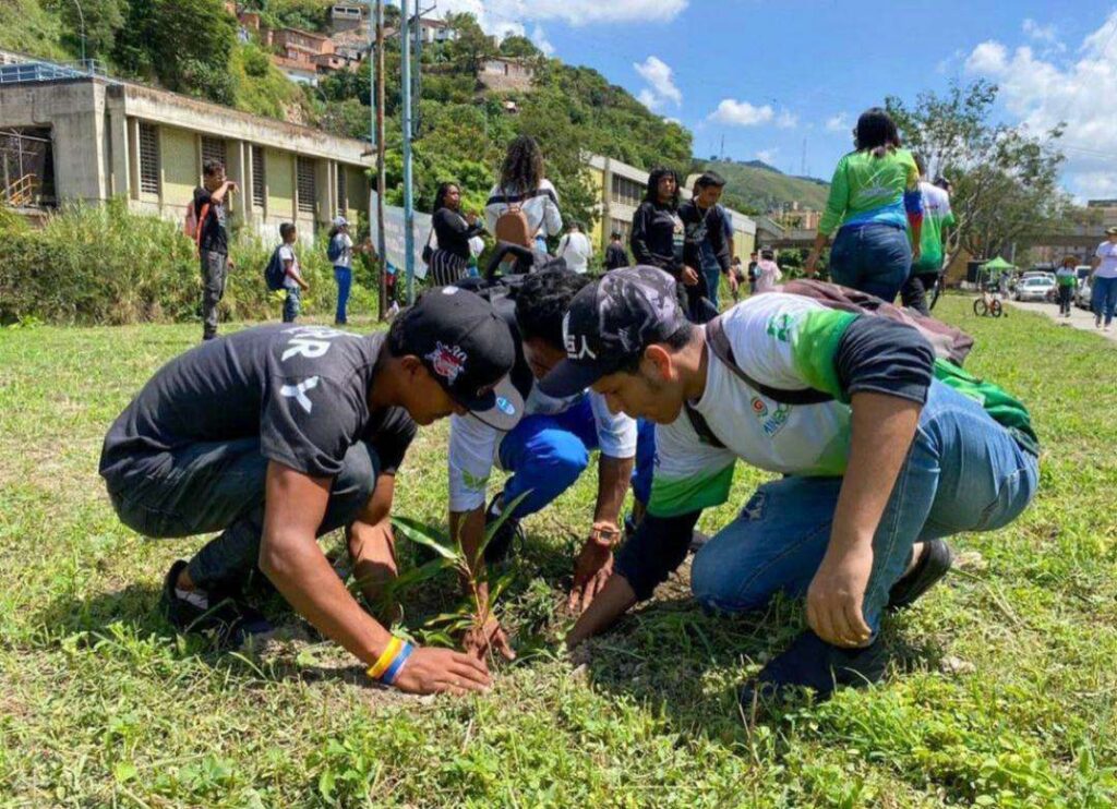 Plantaron 312 árboles en la parroquia Caricuao