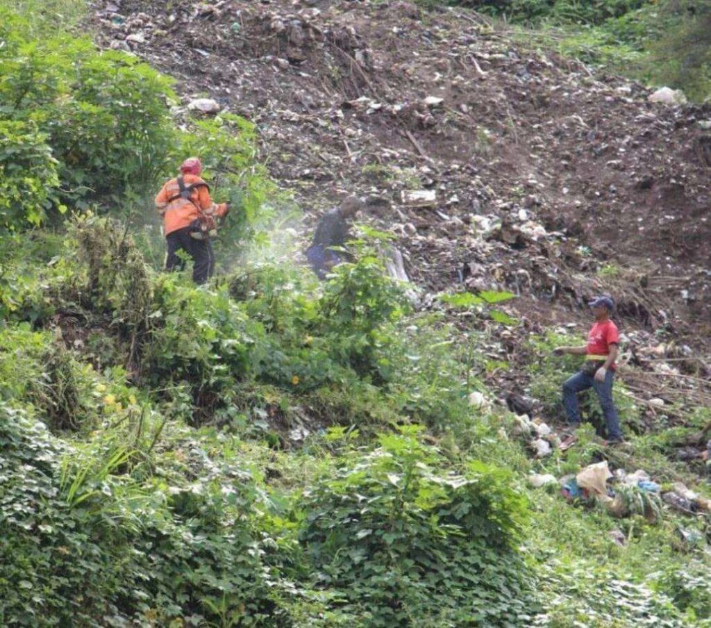 Sanean áreas verdes en el sector 'La Amapola' de la Vega
