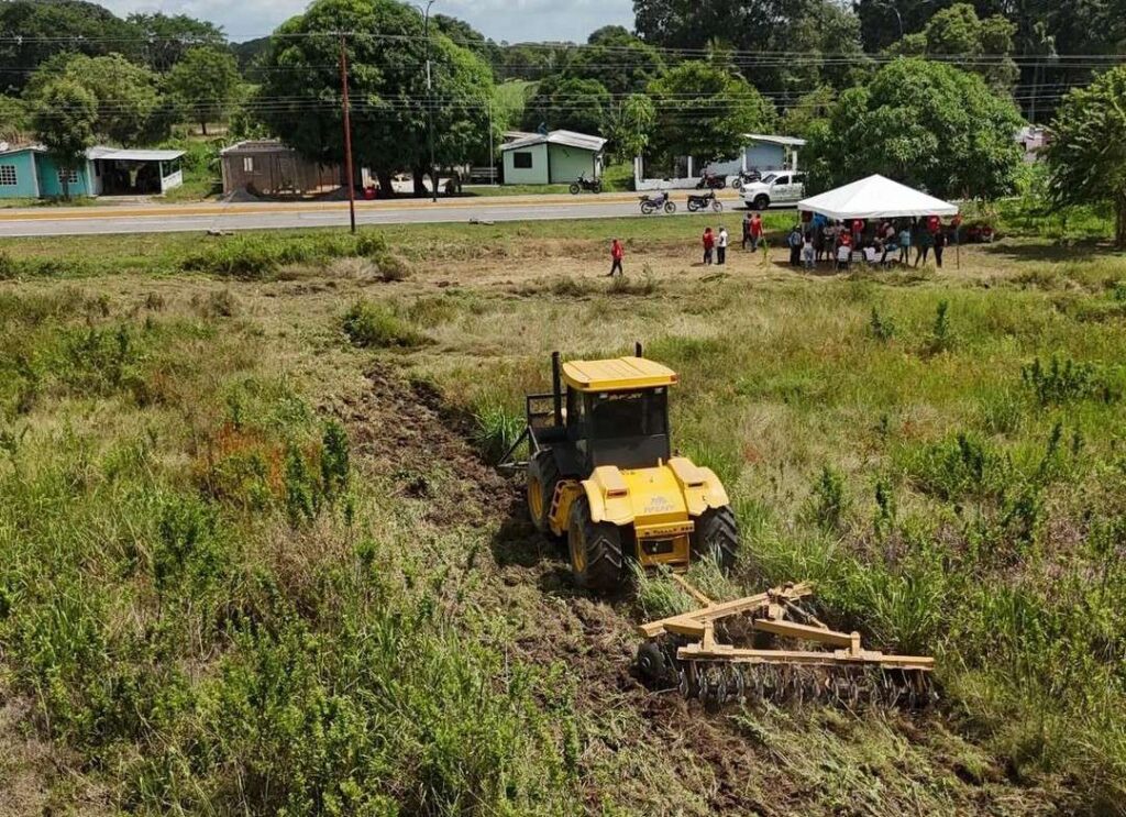 Sembrarán girasoles en la vía al Santuario de la Virgen de Coromoto