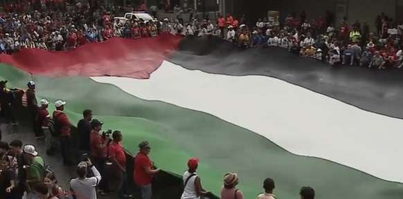 Venezolanos se movilizan en solidaridad con Palestina