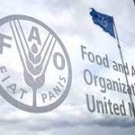 FAO advierte que crisis en Ormuz afectará producción mundial de alimentos