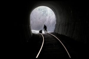 Una obra maestra del thriller, una de las mejores películas de ciencia ficción de los últimos 40 años y más. 7 estrenos imprescindibles de cine en casa de noviembre de 2024